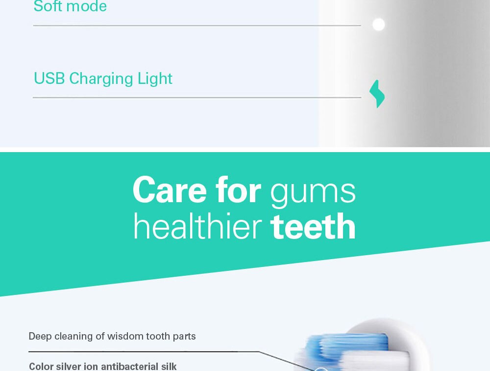 Ultrasonic USB Rechargeable Waterproof Toothbrush