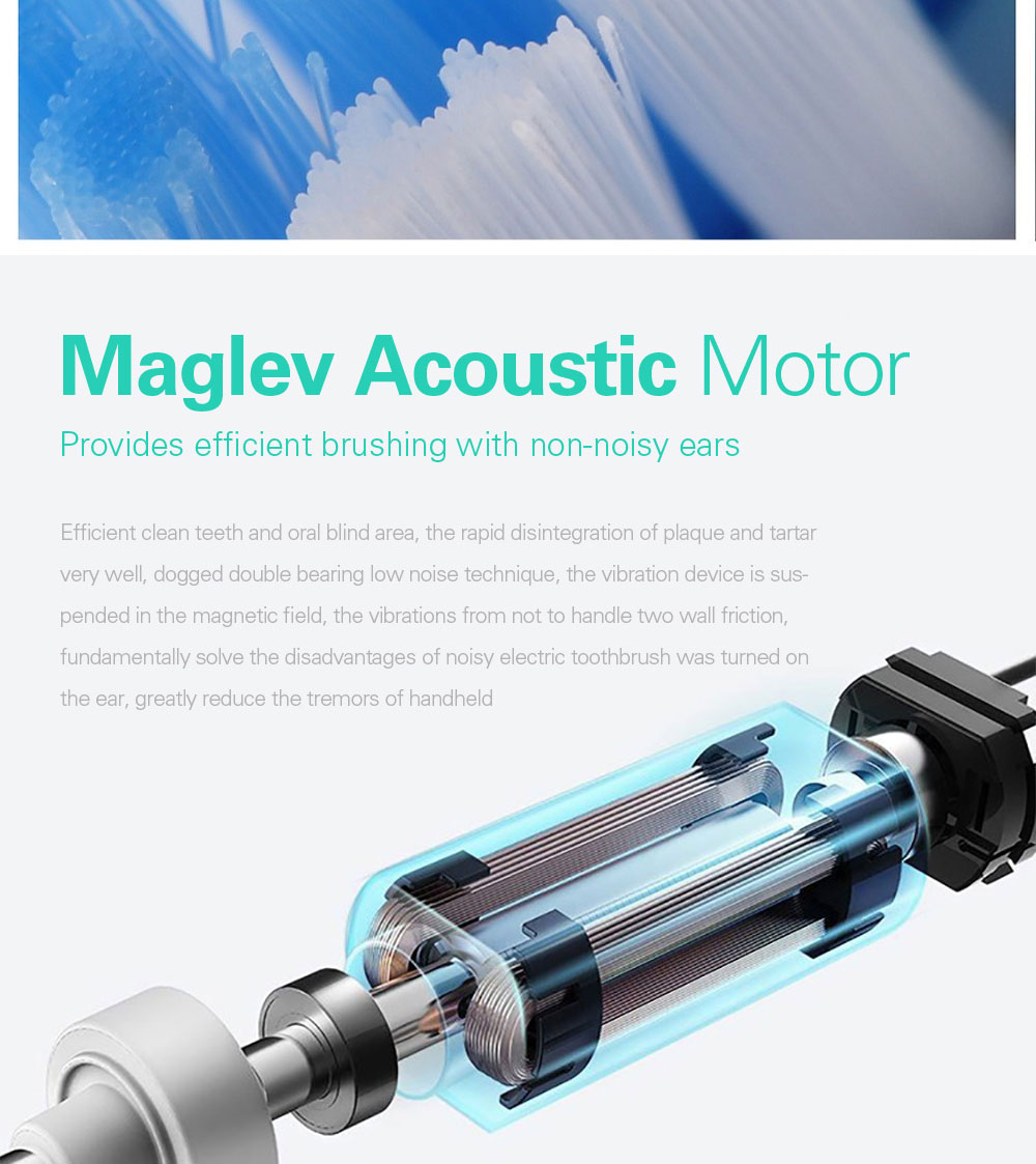 Ultrasonic USB Rechargeable Waterproof Toothbrush